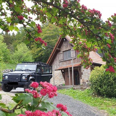 Villa Jagdhaus in der Rhön in völliger Alleinlage Gersfeld Exterior foto