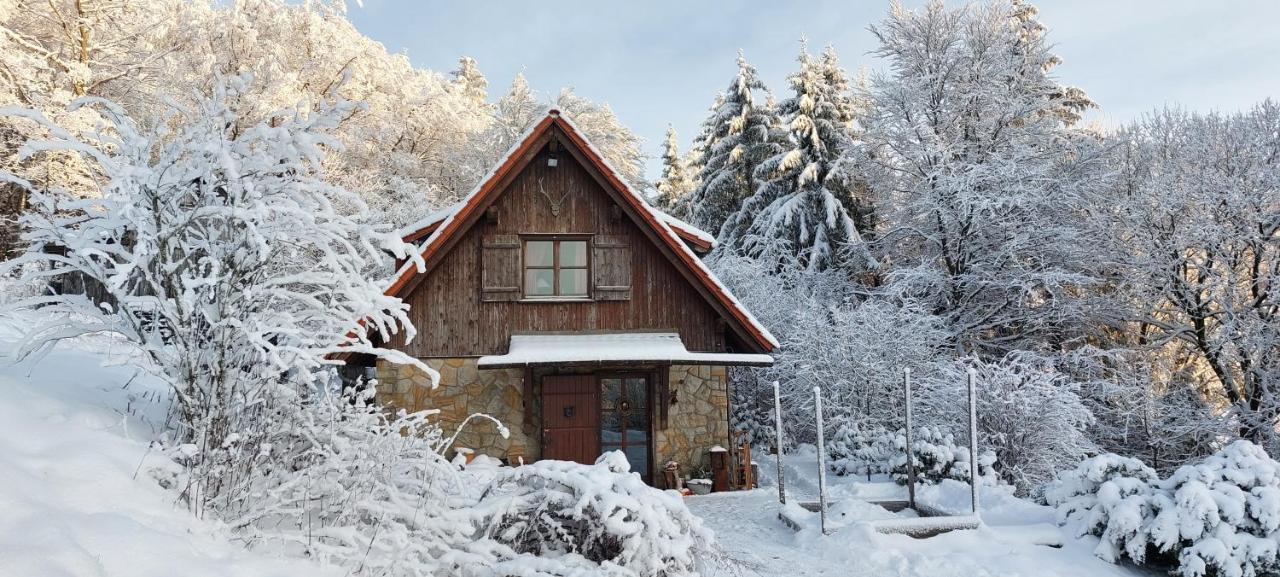 Villa Jagdhaus in der Rhön in völliger Alleinlage Gersfeld Exterior foto